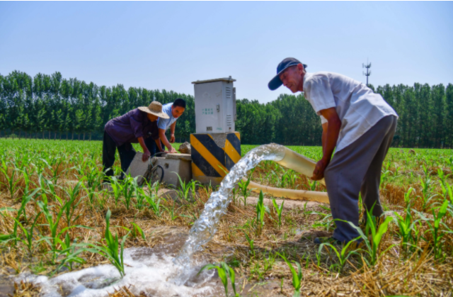 采取活跃措施经过调度水源抗旱喷防等方式竭尽全力保夏收